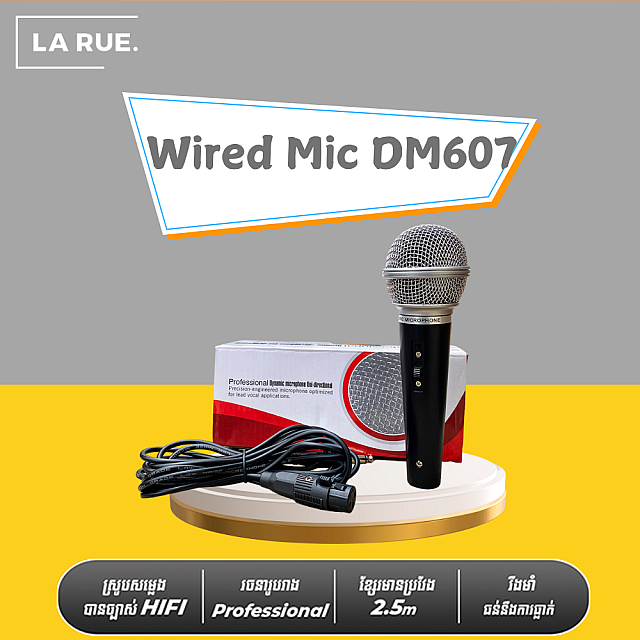 Wired Mic DM607